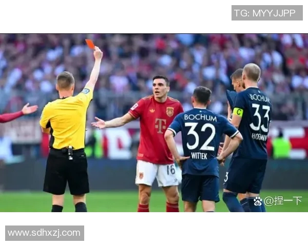 勒沃库森遭逆转,主场之败让球迷失望:重新审视球队未来