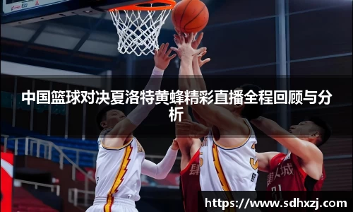 OD体育官方网址